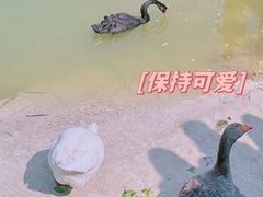 -北宫国家森林公园