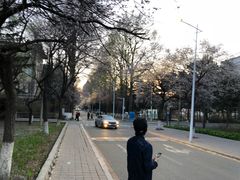 -吉林大学(南岭校区)