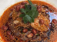 -院8里·少城记忆老川菜(宽窄巷子店)