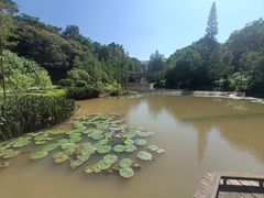 -云溪植物园