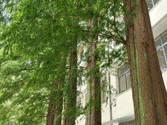 -昆嵛山石门里景区