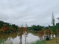 -川南大草原