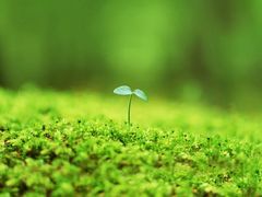 -悦屋老板娘的烤肉店(紫薇田园店)