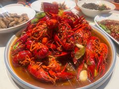 -杨氏青龙虾·羊蝎子(托乐嘉店)