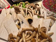 -二荆条·蜀鲜汇城市森林火锅