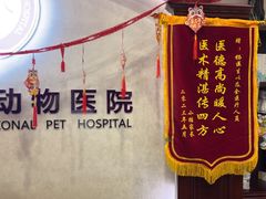 -宠爱国际动物医院·疑难骨科·心肾内科·皮肤科(太阳宫店)