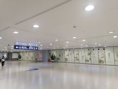 -合肥新桥国际机场-航站楼