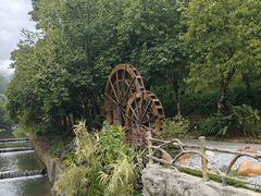 -广州白江湖森林公园