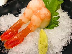 -Hatsune隐泉日式料理(SKP店)