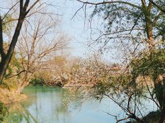 -西溪国家湿地公园