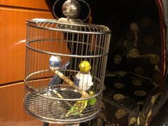 -上海老饭店(北京分店)