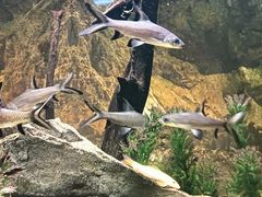 -常州海昌海洋探索馆
