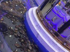 -澜悦港海鲜体验主题餐厅