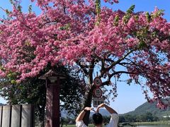 -风云岭森林公园