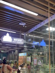 -小象动悟公园(龙湖亦庄天街店)