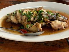 蒸正吻鱼-八仔大富楼·河鲜(西江店)