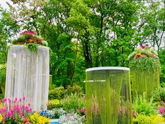 -上海共青森林公园