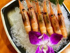 甜虾-银子铁板烧料理自助餐(人民广场店)