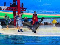 -三亚海昌梦幻海洋不夜城