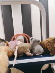 -奈尔宝家庭中心·亲子餐厅(前滩店)