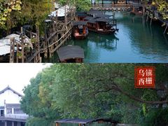 -乌镇西栅景区