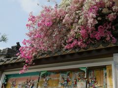 -深圳国际园林花卉博览园