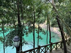 -广州市流溪河国家森林公园