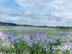 -云漫湖生态度假公园