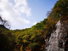 -龙道沟景区