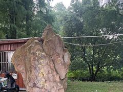 -渌洋湖湿地公园