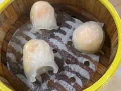 -肥佬夜茶(早茶·西乡店)