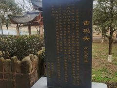 -桃源咖啡厅(武夷山大红袍山庄店)