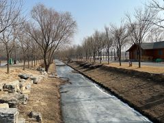 -东郊湿地公园