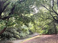 -上海滨江森林公园