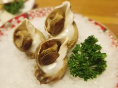 -王鼎精致料理铁板烧(世博源店)