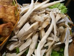 -易门野生菌府·菌海森林(月牙潭公园店)
