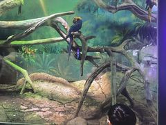 -福州罗源湾海洋世界旅游区