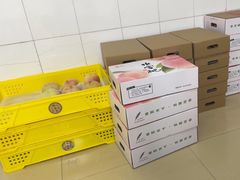 -老袁家蜜桃农场·阳山水蜜桃