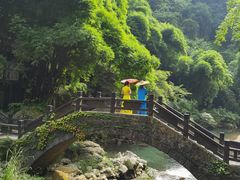 -三峡人家风景区