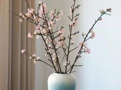 -芸山季·云南野生菌火锅(南翔印象城MEGA店)