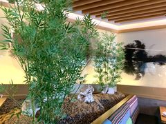 -桂小厨广西菜(青秀万达店)