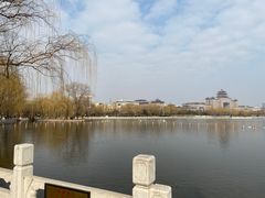 -莲花池公园