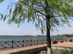-丁香湖公园