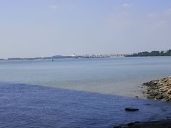 -宝安西湾红树林湿地公园