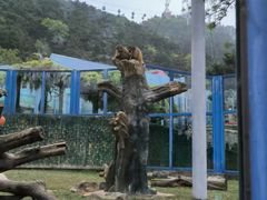 -大连森林动物园