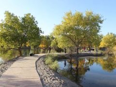 -金塔沙漠胡杨林景区