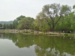 景点-晋祠公园