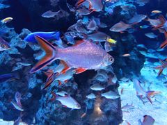 -成都浩海立方海洋公园