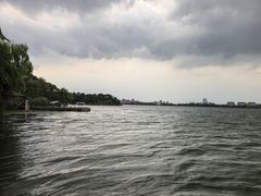 -金鸡湖桃花岛