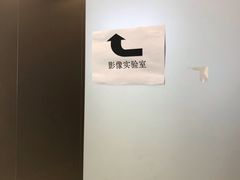 -上海市东方医院(总院)